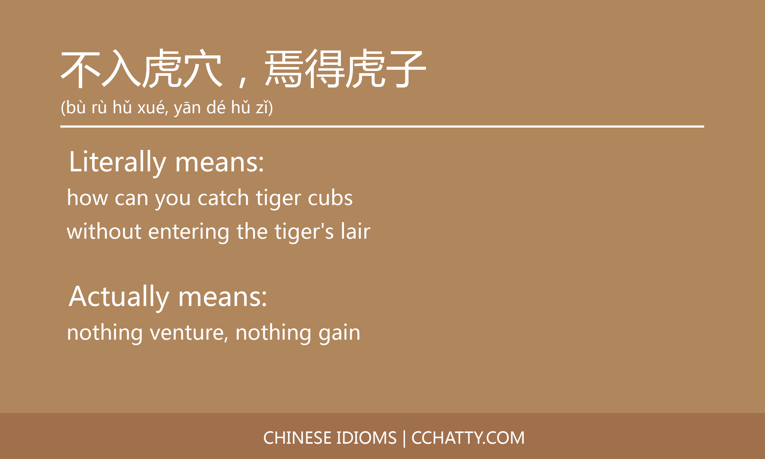 不入虎穴焉得虎子 Cchatty