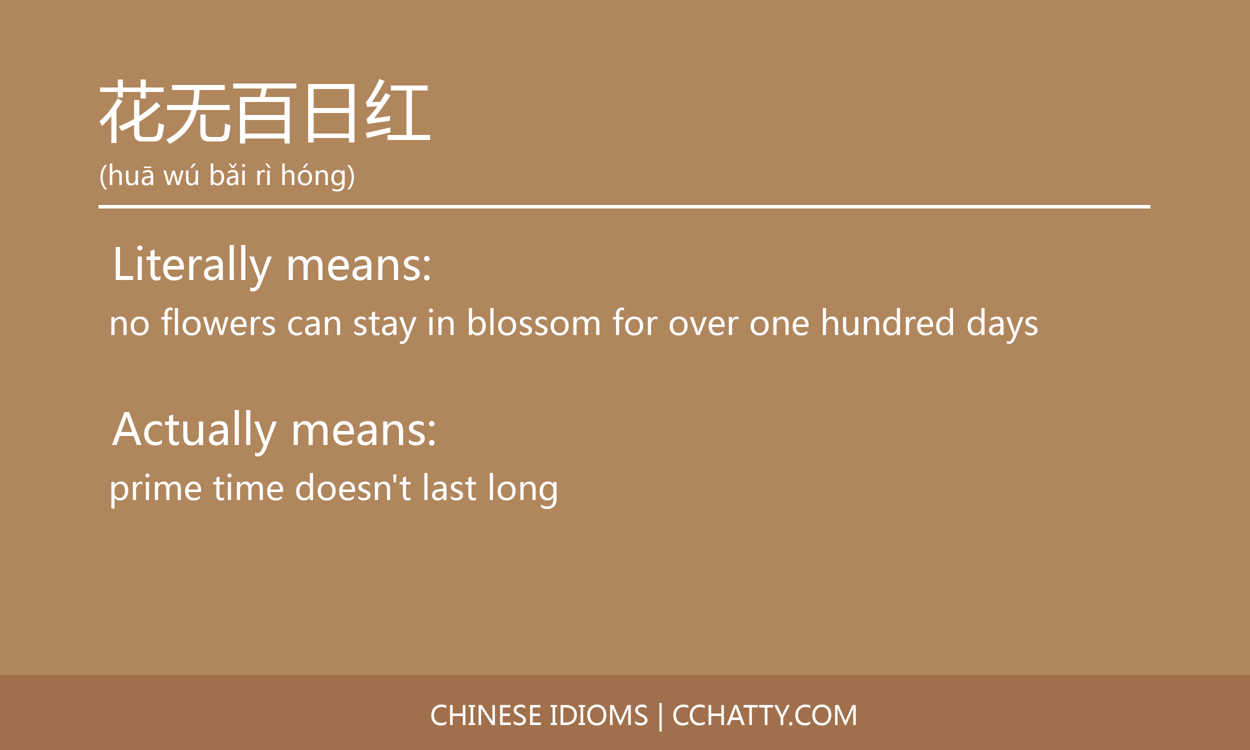 花无百日红 Cchatty