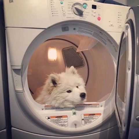 -5c972f85cf457940-15630-1645653693