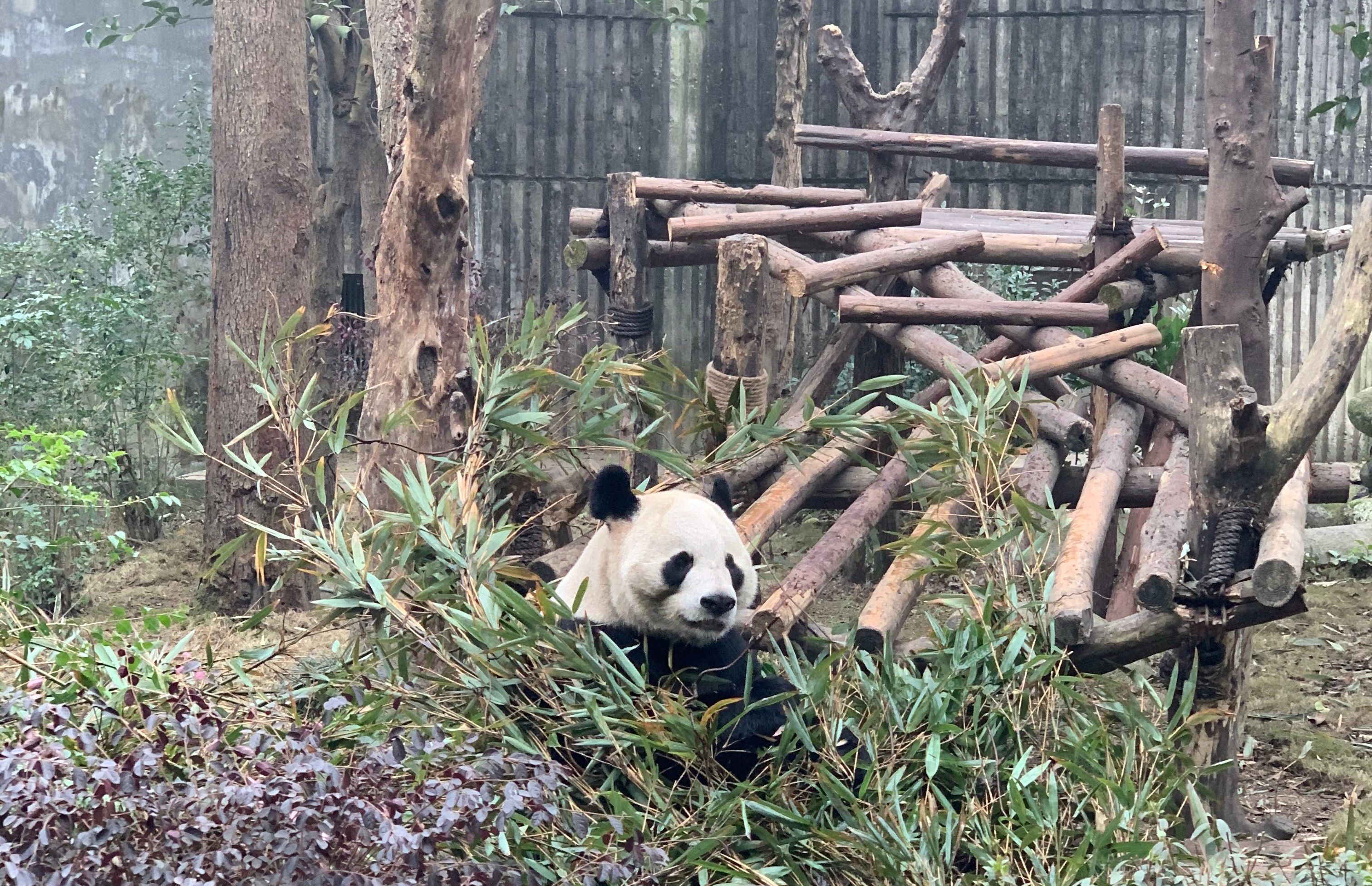 IMG9554-43664-1680678221