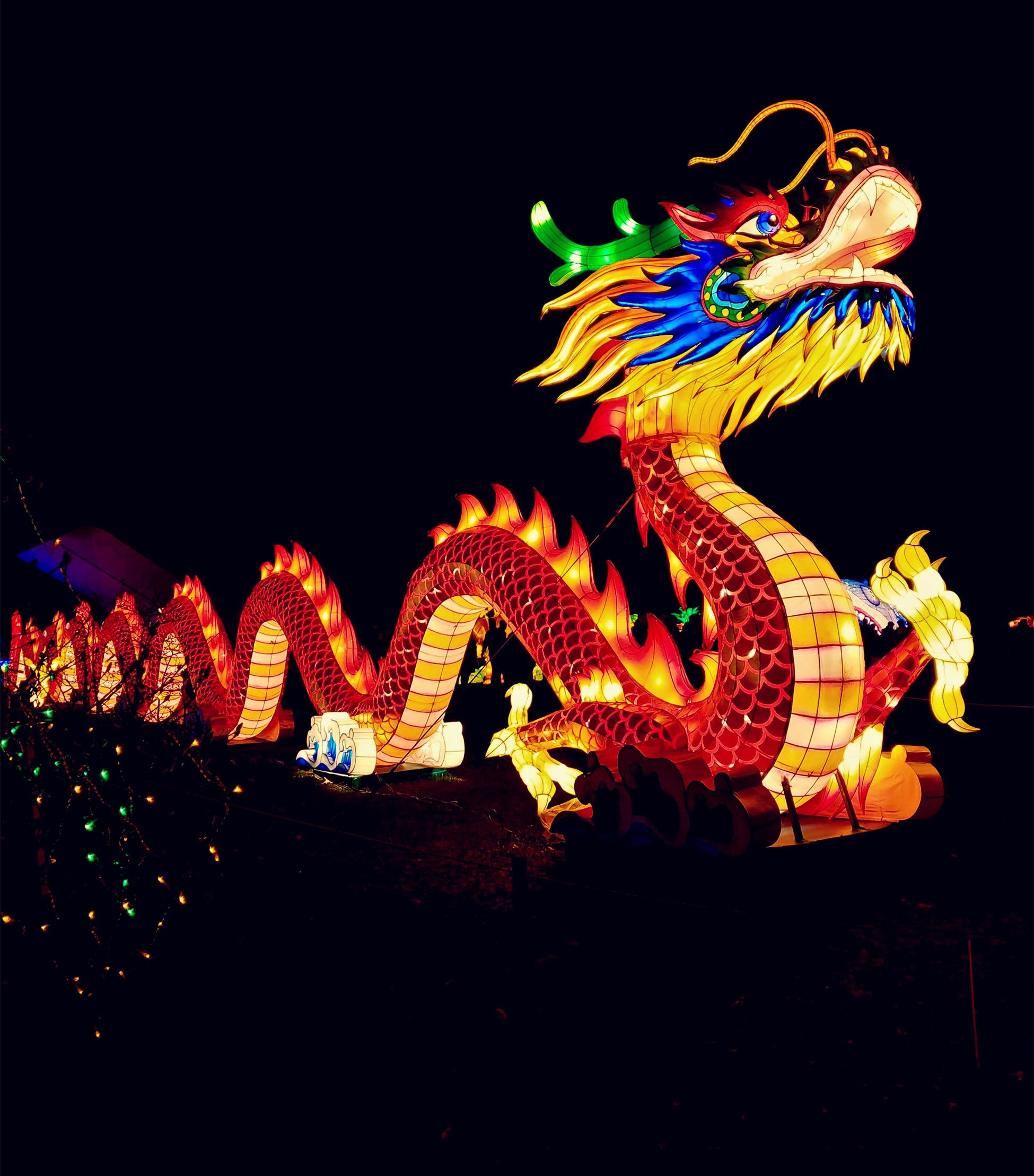 Chinese New Year Dragon Dance Cchatty