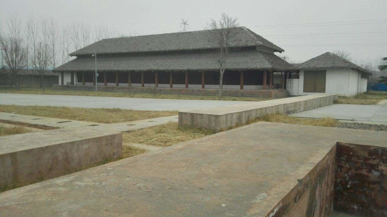 Shang dynasty - Cchatty